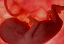 La contaminación atmosférica puede llegar a la placenta