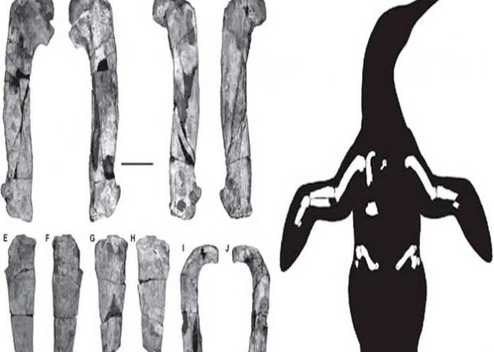 nota-6.1_0YUoseY isla marambio