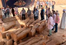 Arqueólogos hallan 20 féretros de madera en perfecto estado (FOTOS) julia budka