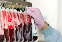 Crean sangre artificial que sirve para cualquier grupo sanguíneo