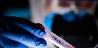 pandemia
