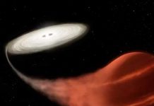 Detectan una estrella vampiro a unos 3.000 años luz de la Tierra telescopio kepler