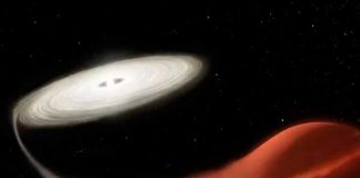 telescopio kepler