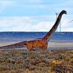 Hallan en Argentina restos de un titanosaurio de 85 millones de años la patagonia