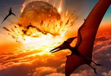 Revelan cómo fue el último día de los dinosaurios