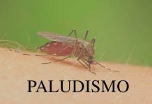 Paludismo: ¿ Que es, síntomas y causas ? paludismo