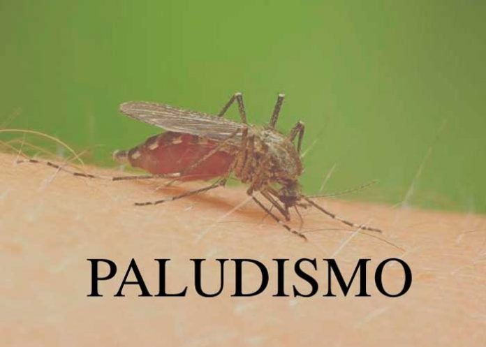 nota-7.2_6TQth9O paludismo