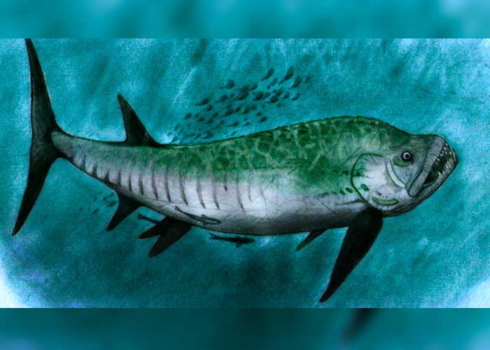 nota-7_LapVRoq argentina