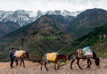 Disminución de contaminación en India hace visible el Himalaya (FOTOS) naturaleza