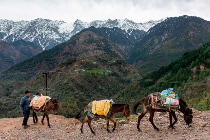 nota-7_UIWWPVF naturaleza