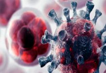 Atacar las células troncales podría evitar metástasis