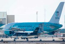Llega a Francia un segundo avión con repatriados de 30 nacionalidades europa