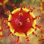 Encuentran tres tipos de respuesta inmune ante la COVID-19 inmuniadad