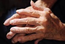 Los humanos pueden regenerar tejidos como las salamandras