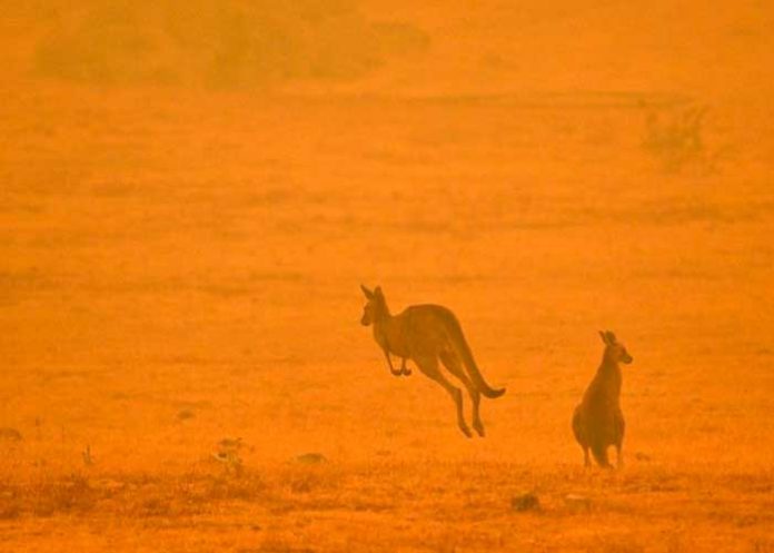 nota-8_Mzh3xFT fenomenos