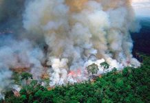 La Amazonía pasaría de aspirador de CO2 a emisor del gas contaminante deforestacion