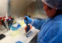 Detienen los ensayos clínicos de una vacuna para el VIH analisis