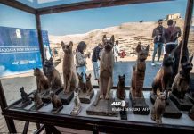 Encuentran en Egipto momias de cachorros y 75 estatuas de madera y bronce (FOTOS) gatos