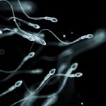 Marihuana hace que hombres produzcan semen de mejor calidad hallazgos