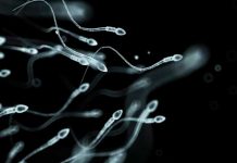 Marihuana hace que hombres produzcan semen de mejor calidad hallazgos