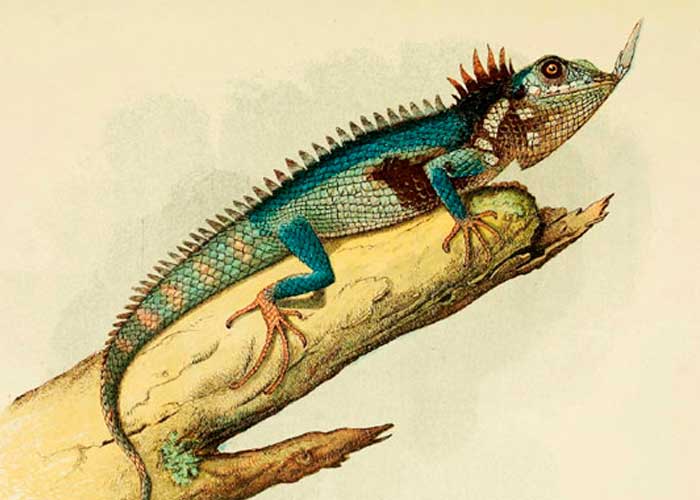 nota-9_4Vqqi1t estudio