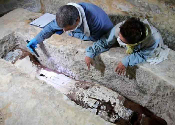 nota-9_cG2Avpe ciencia