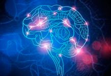 Ictus: Conocé sus síntomas y causas