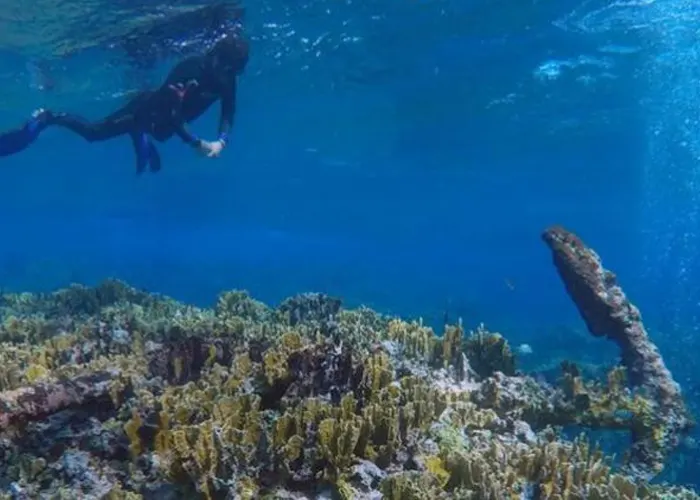 Hallan en México restos de naufragio de hace más de 200 años (FOTOS) arqueologos