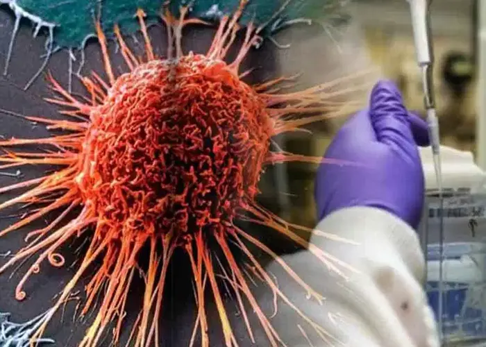 Crean nanomedicina para atacar las células cancerígenas analisis