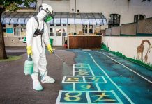 Inician los trabajos de descontaminación de plomo en Notre Dame europa