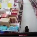 Colombia: Un perro roba comida y se desinfecta las patas antes de huir (VIDEO) colombia