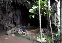 Descubren una nueva especie humana mundo