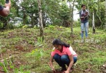 Campaña Nacional de Reforestación llega hasta la cordillera Yolaina