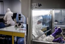 El estado de Nueva York informa de su primer caso de coronavirus estados unidos
