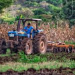 Nueva Segovia: Productores esperan excelentes cosechas nicaragua