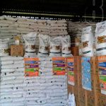 Merienda escolar llega al Municipio de Nueva Guinea