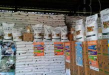 Merienda escolar llega al Municipio de Nueva Guinea