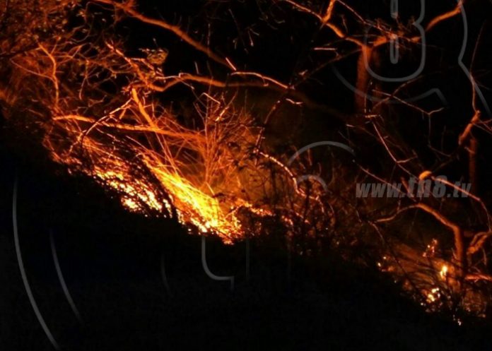 o1_0HI6NAF nicaragua