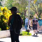 Cruceristas visitan la Isla de Ometepe y quedan maravillados turistas