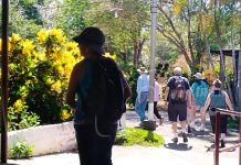 Cruceristas visitan la Isla de Ometepe y quedan maravillados turistas