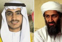 EE.UU. busca al hijo de Osama bin Laden y ofrece recompensa estados unidos