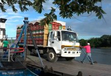 Producción de plátano dinamiza la economía local de Ometepe nicaragua
