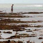 Océanos alcanzaron la mayor temperatura de su historia en 2017