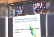 Responsables de Inocuidad de Alimentos de OIRSA desarrollan reunión virtual nicaragua