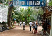 Ojo de agua, una empresa familiar que apuesta por la agricultura ecológica nicaragua