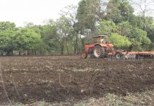 Implementan alternativas de producción para la siembra de primera nicaragua