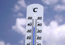 Ola de calor en Alemania hace que las mujeres se desnuden alemania