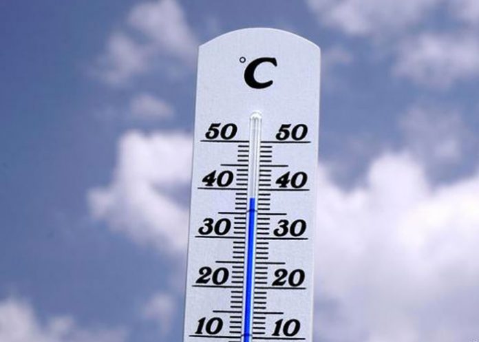 ola-de-calor-en-alemania alemania