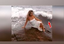 Quiso presumir su belleza en sensual pose y es interrumpida por enorme ola quiso presumir su belleza