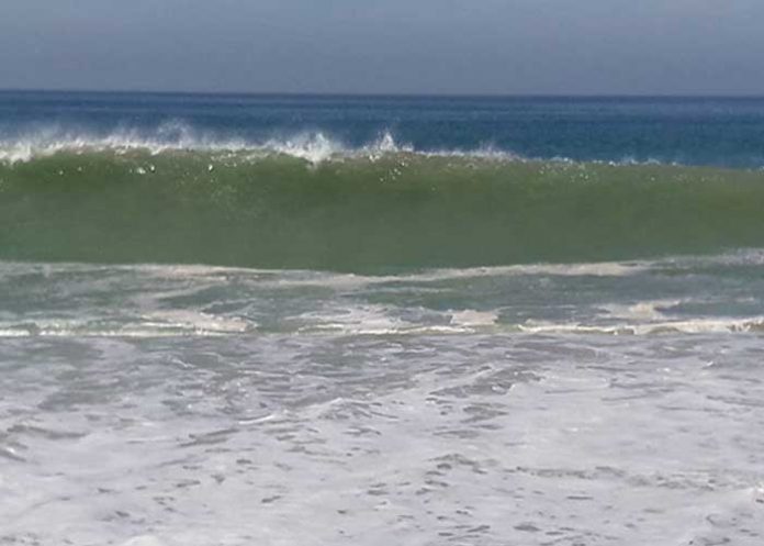 oleaje-alto-honduras honduras